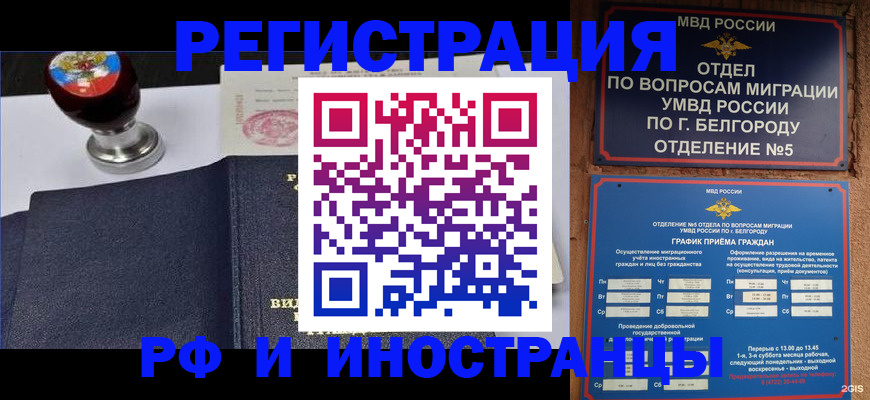 временная регистрация поиск в Можайске